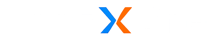 LoopXOne